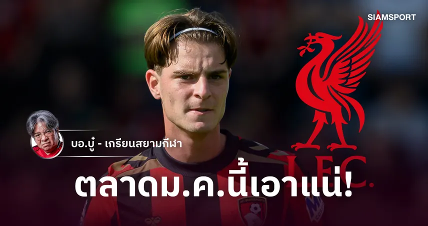เชลซีอย่าช้า! ทำไม ลิเวอร์พูล ต้องทุ่มล่าตัว อเล็กซ์ สก๊อตต์ เติมแดนกลาง