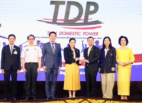 Domestic Power 2024-2025