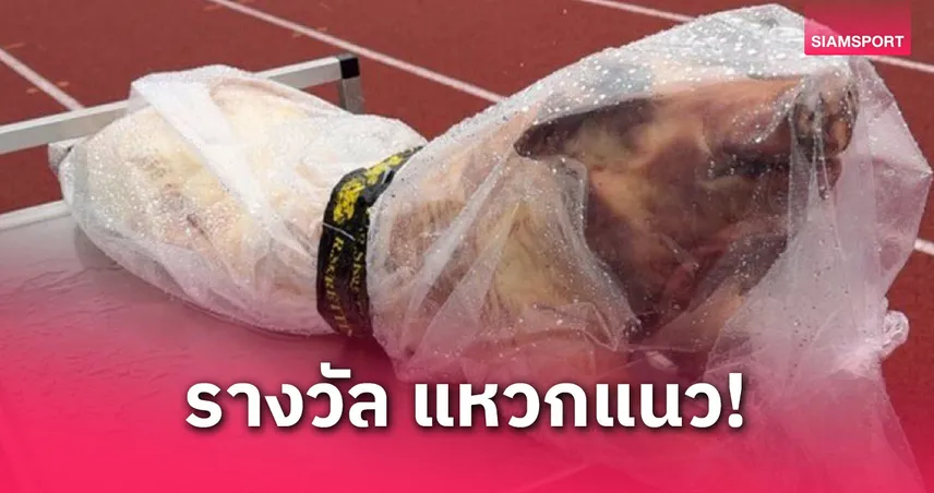 ทีมเกษตรกรตัวจริง! สโมสรนอร์เวย์มอบ “หัวหมู” ให้นักเตะเด่นเกมพ่ายทีมเก่าฮาลันด์