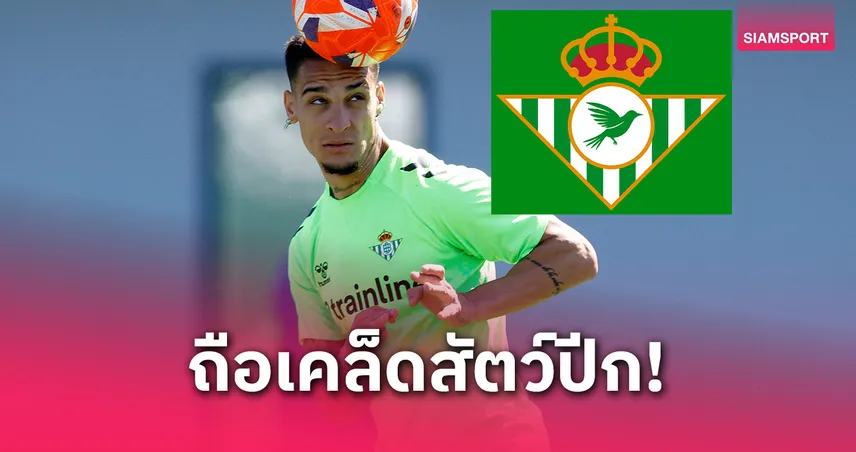 เพจ เรอัล เบติส ปั่นจัด! เปลี่ยนโลโก้ใส่ "สัตว์ปีก" ถือเคล็ดก่อนบู๊ เชลซี นัดชิงคอนเฟอเรนซ์ลีก