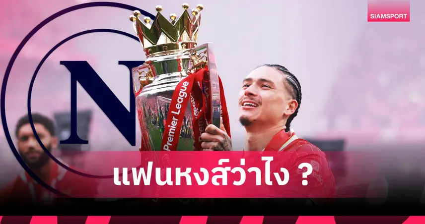 คอนเต้ เร้า นาโปลี เซ็น นูนเญซ จากลิเวอร์พูล เสริมคมตลาดซัมเมอร์