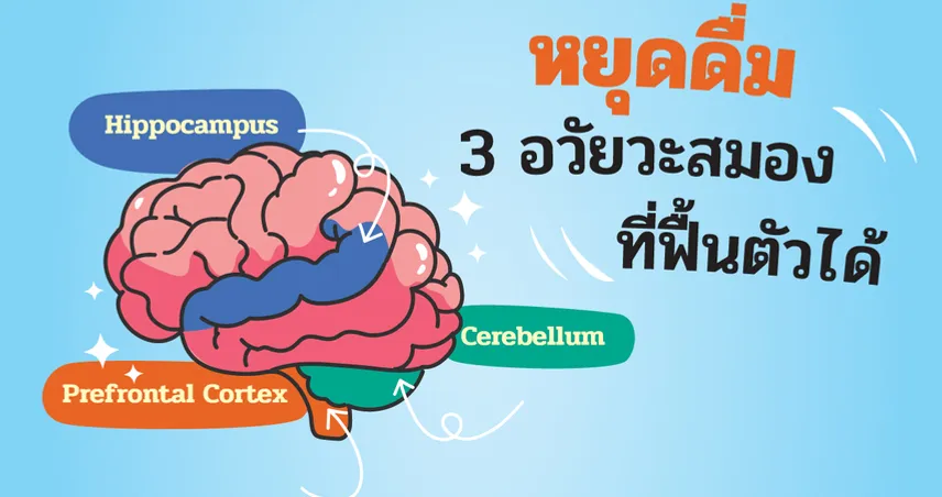 ปรับพฤติกรรม ฟื้นฟูสมองที่คุณรัก หลังหยุดดื่มแอลกอฮอล์