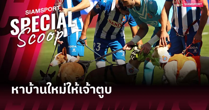 น่ารัก! เอสปันญ่อล ใช้สุนัขแทนมาสค็อต ช่วยหาบ้านให้เจ้าตูบ