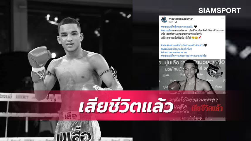 ค่ายยืนยัน ยื้อชีวิต “ฉลามเสือ" อดีตแชมป์ปูนเสือไม่ไหว จากไปอย่างสงบ