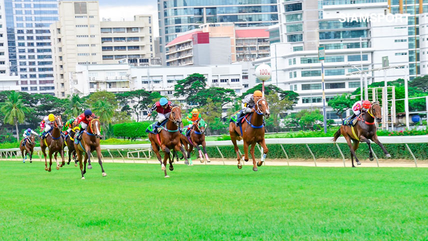 "สนามม้าฝรั่ง"จัดแข่งม้าเที่ยวชิงถ้วยส่งท้ายปี